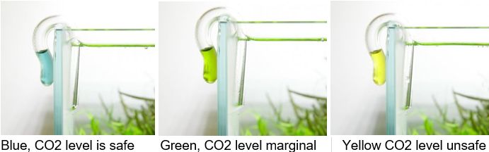 aquarium carbon dioxide test