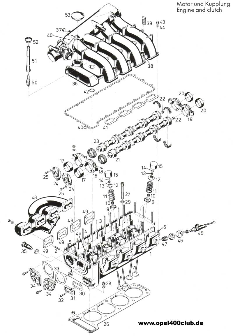 exzylkopf1