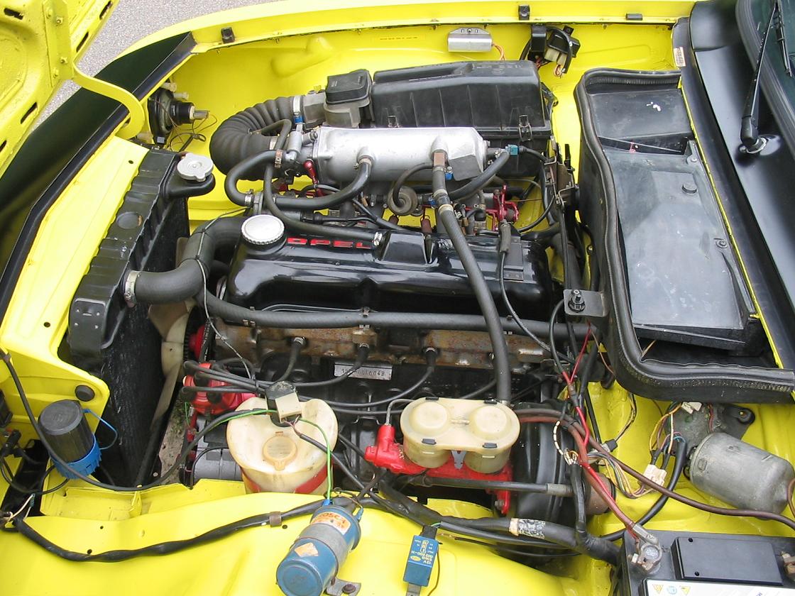 Gte3