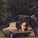 Kadett-C-Jagdwagen-1von2 