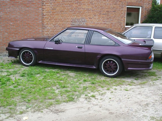 manta1