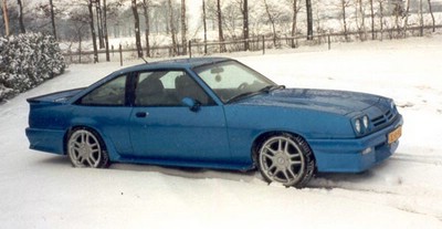 manta317