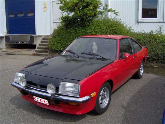 manta_b_324