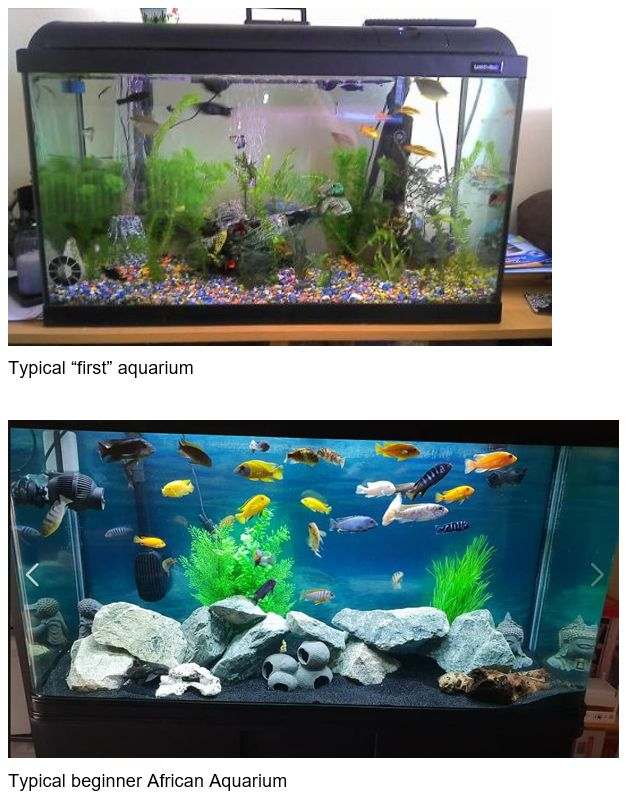 Several Types of Aquariums