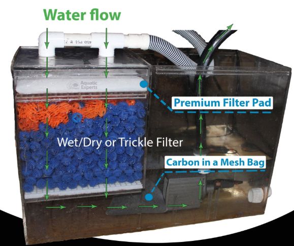 wet/dry sump