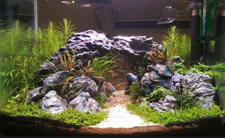 Aquarium Rocks