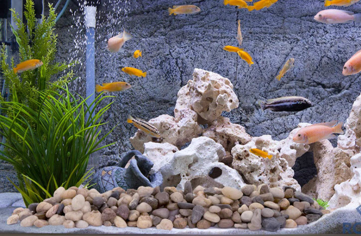 Aquarium Rocks