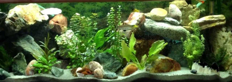 Aquarium Rocks