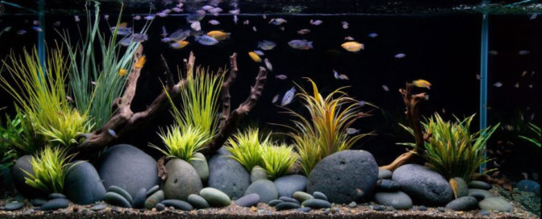 Aquarium stones