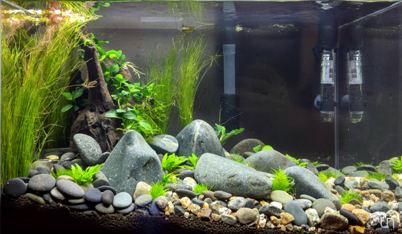 River Rock tank