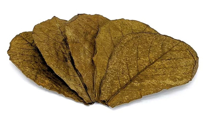 Indian Almond Leaves