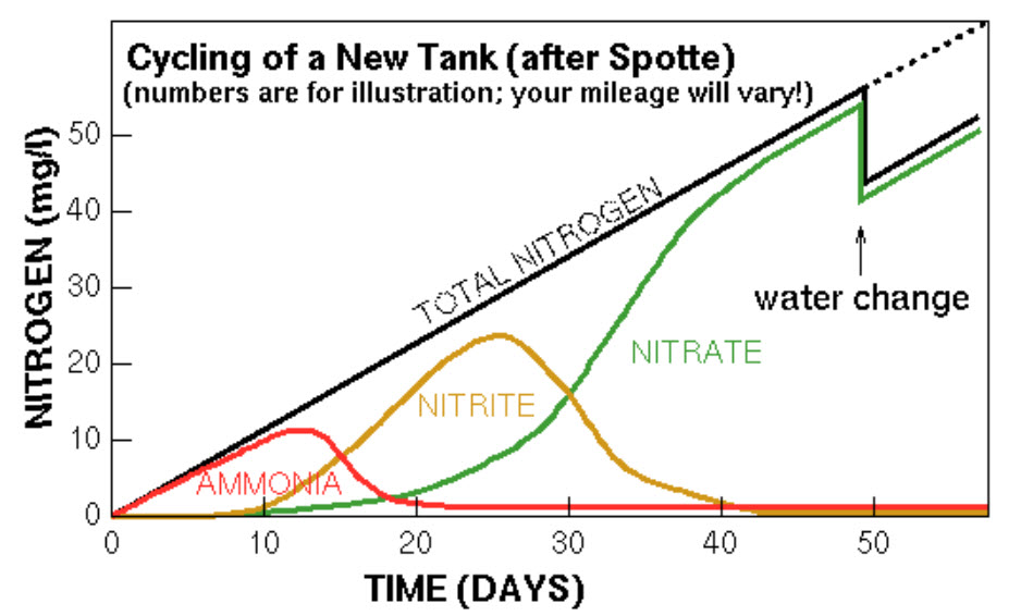 Nitrogen Cycle