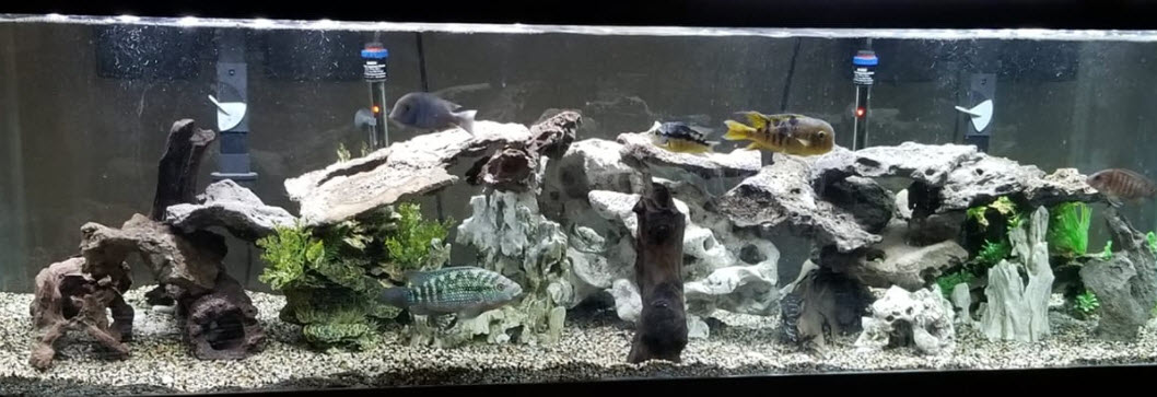 Aquarium Rocks