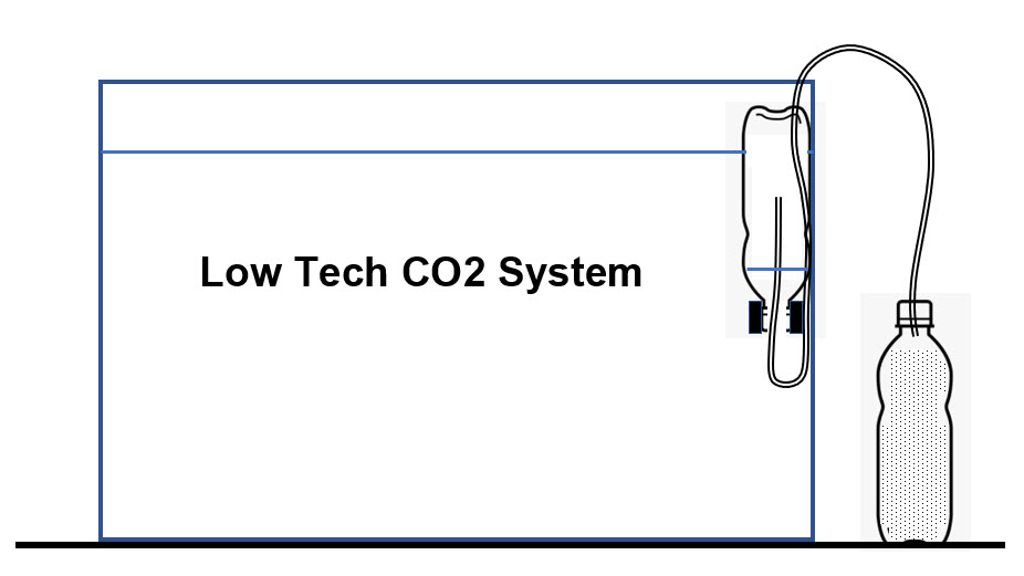 Low Tech CO₂ System