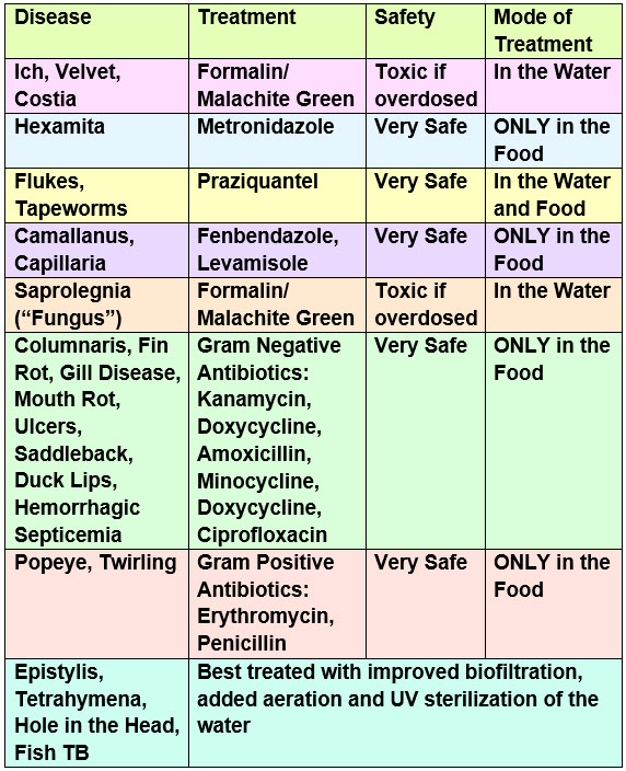 Fish Disease Treatments