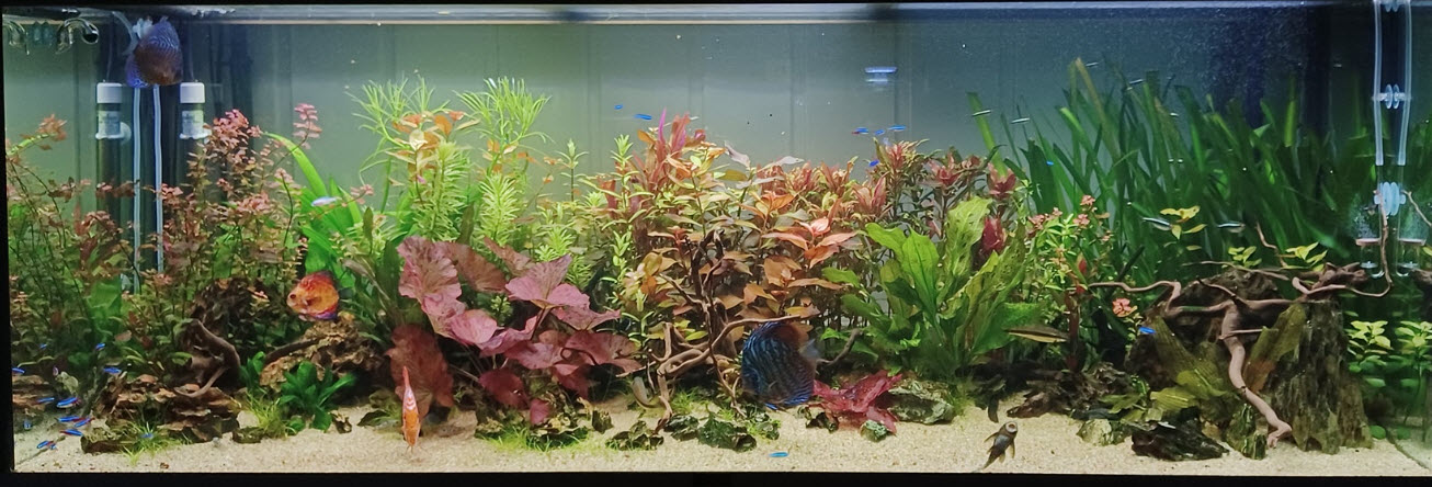 Hightech geplant discusaquarium