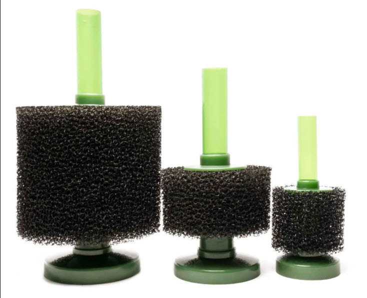 Sponge Filters