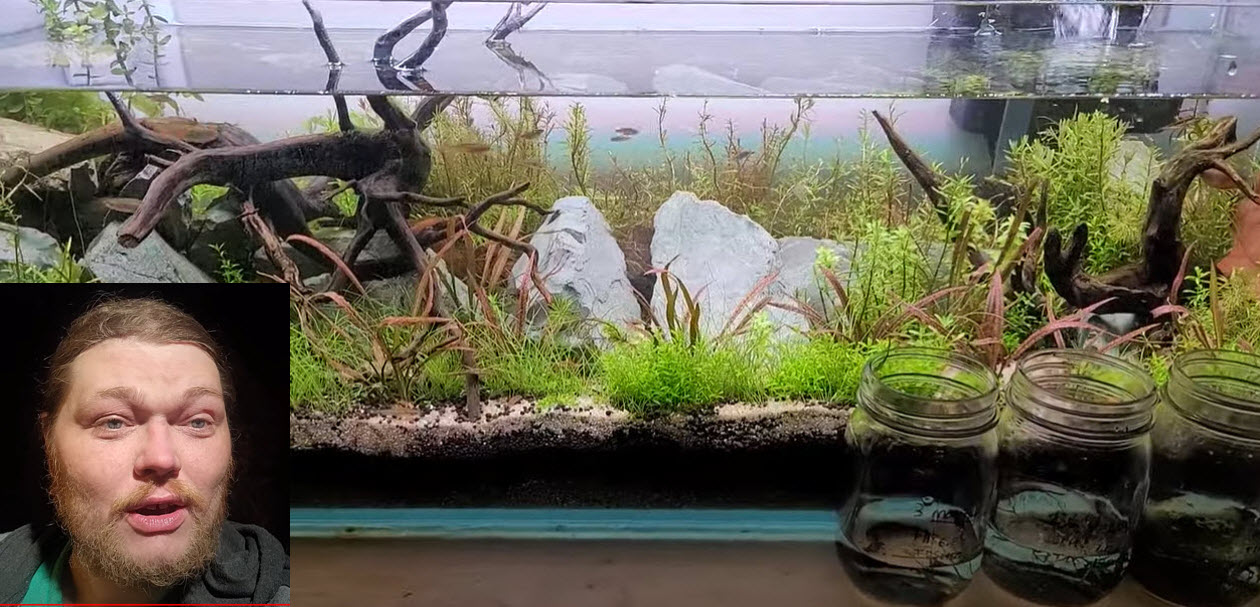 One of Alexander Williamson's Filterless "Natural" Aquariums