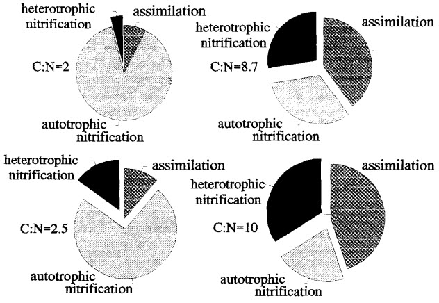 Effect of Carbon to Nitrogen Ratio